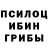 Псилоцибиновые грибы мухоморы Artem Tytyu