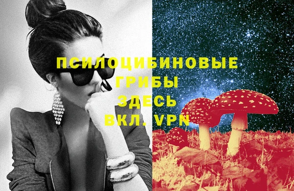 спиды Киреевск