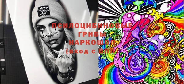 apvp Кинешма