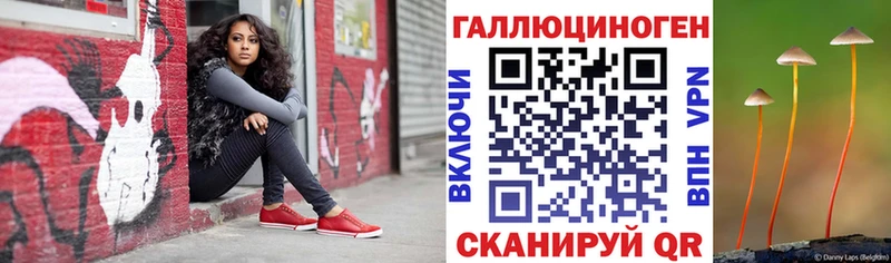 Псилоцибиновые грибы прущие грибы  Купить где  Сенгилей 